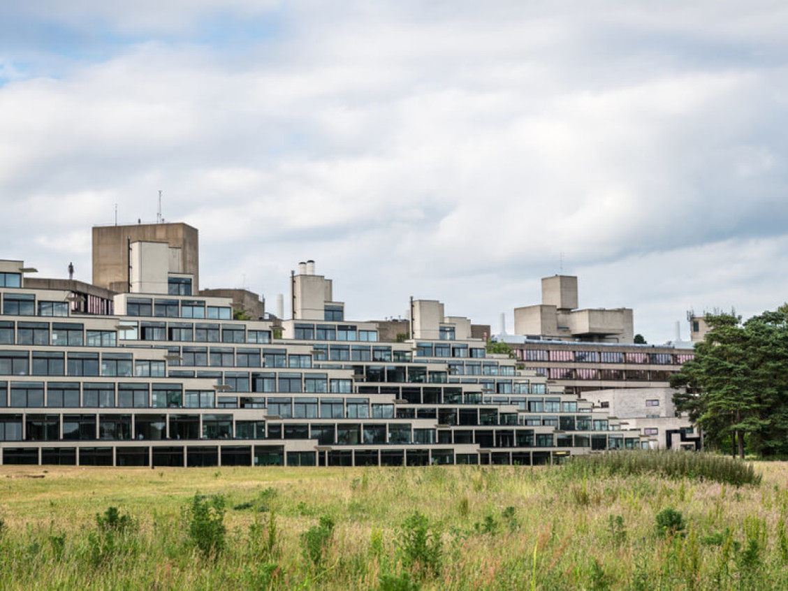 University East Anglia University East Anglia