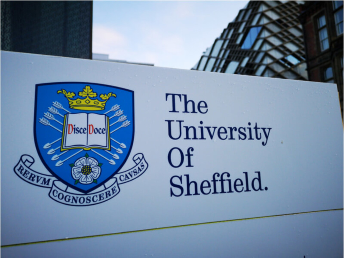 Will attends the University Of Sheffield Will attends the University Of Sheffield