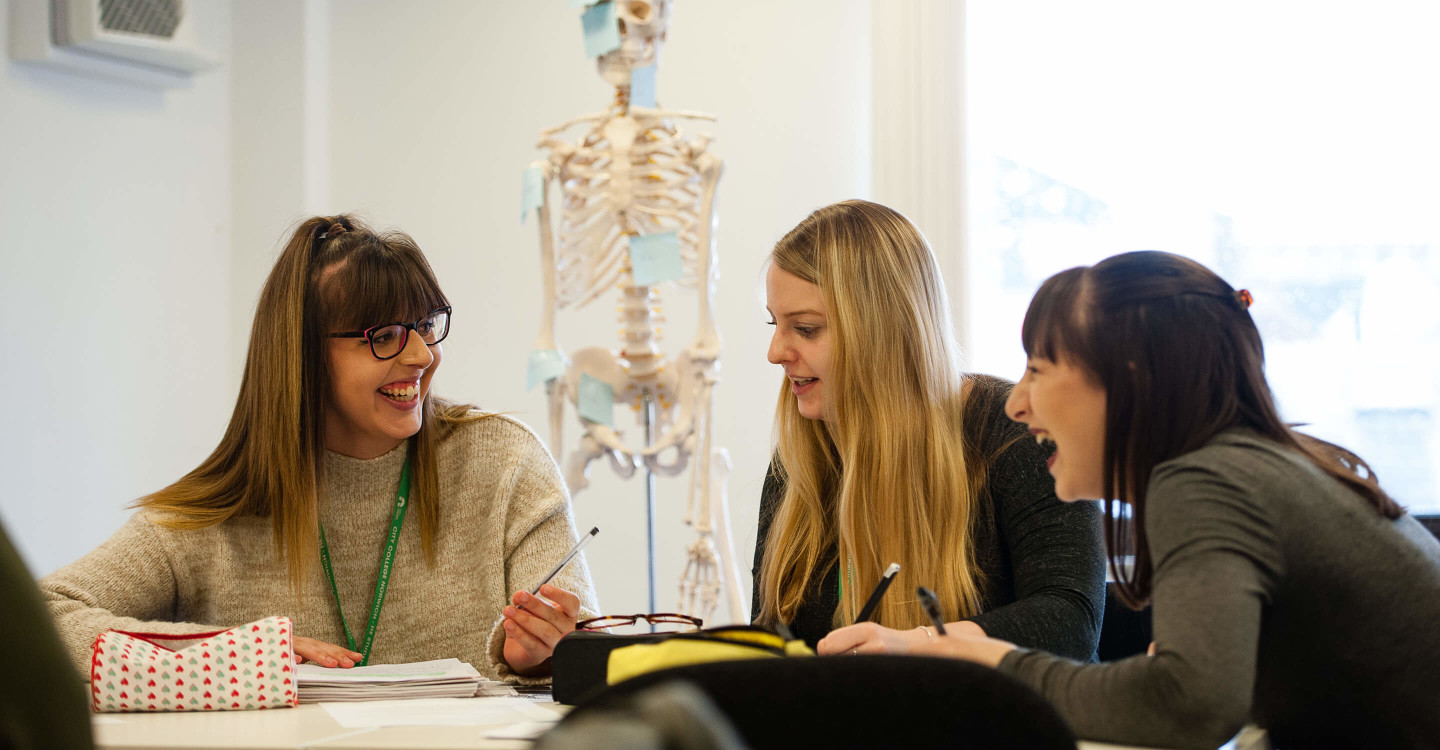 degree and higher education courses
