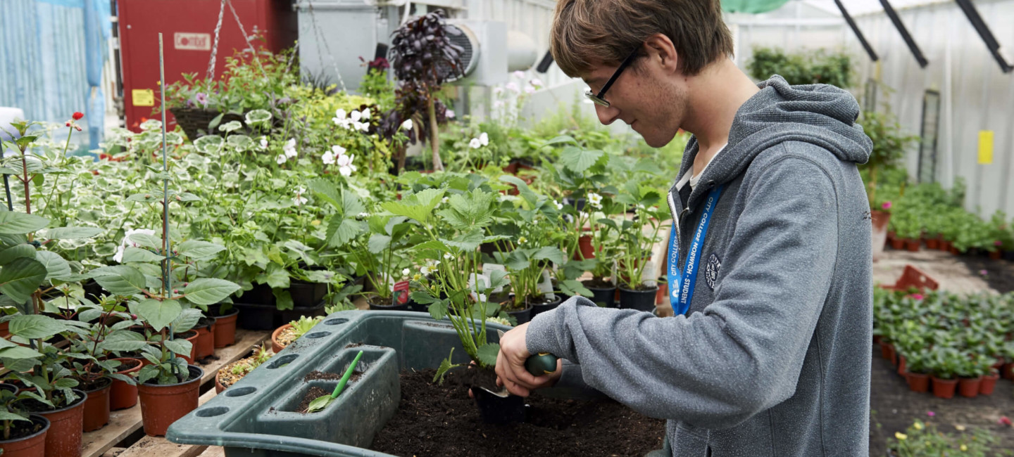 Horticulture Enterprise