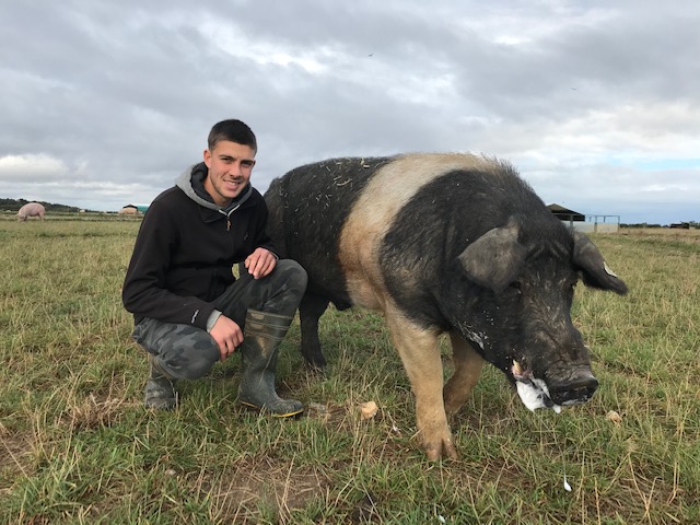 Student Josh Brewster crouching next to a pig in a field